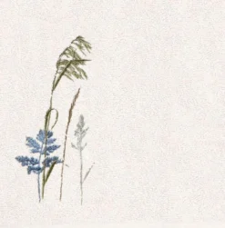 Kleine Wolke Gästetuch Savannah 30 X 50 Cm -Kleine Wolke FJPG S700 276