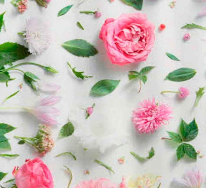 Kleine Wolke Duschvorhang Rosalie 180 X 200 Cm 2 Kleine Wolke Duschvorhang Rosalie 180 X 200 Cm – Bild 2