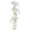 Kleine Wolke Fensterbild »Statics Orchid«, BxH: 23x68 Cm, Selbsthaftend