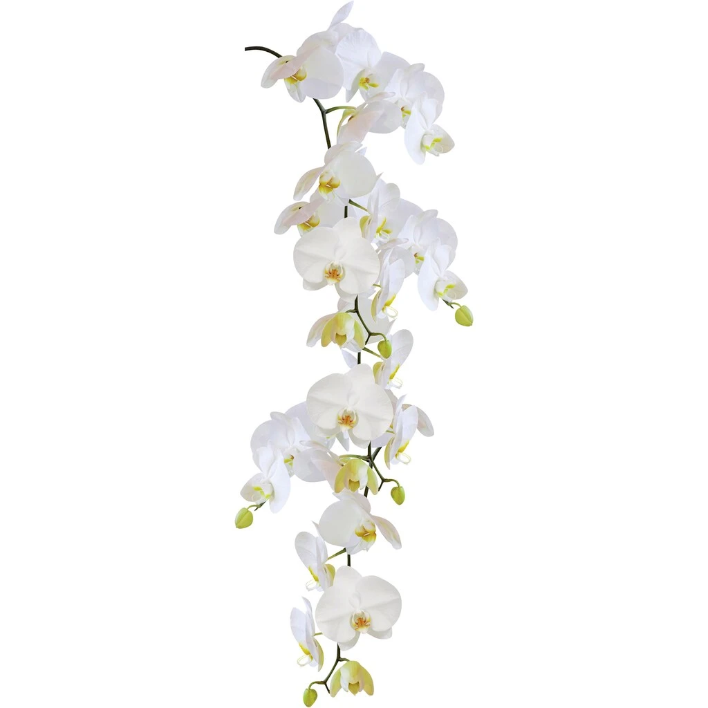 Kleine Wolke Fensterbild »Statics Orchid«, BxH: 23x68 Cm, Selbsthaftend 1 Kleine Wolke Fensterbild »Statics Orchid«, BxH: 23x68 Cm, Selbsthaftend